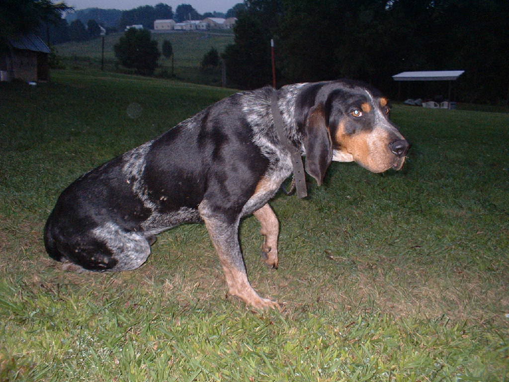 Name:  Picture010.jpg
Views: 27
Size:  135.6 KB