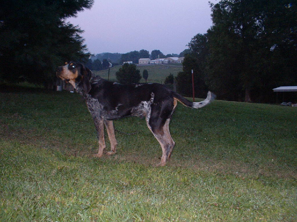 Name:  Picture009.jpg
Views: 25
Size:  130.7 KB