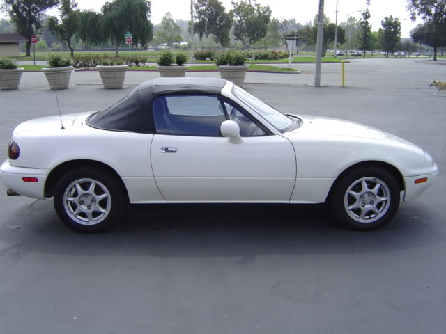 Name:  DSC01490.jpg
Views: 13
Size:  45.9 KB