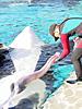 stupid pictures-whale.jpg