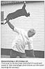 stupid pictures-catswing.jpeg