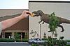 Picture of the Day-dino.jpg