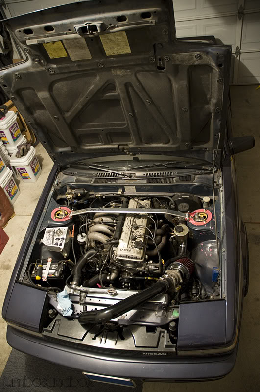 Name:  HEN_2125.jpg
Views: 347
Size:  114.9 KB