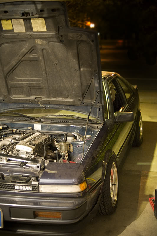 Name:  HEN_1227.jpg
Views: 312
Size:  94.3 KB