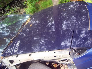 Name:  100_1074.jpg
Views: 54
Size:  33.3 KB