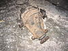 Lsd Differential Sylvia For Sale-lsds13diff.jpg