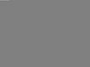 new guy-dsc00455.jpg