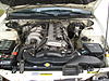 -newbie-s6300075.jpg