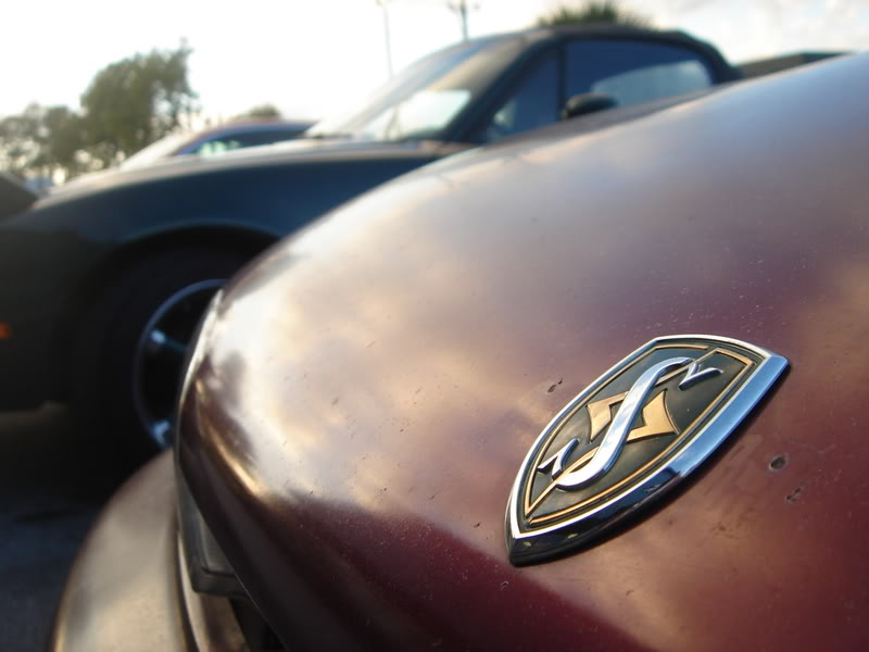 Name: DSC02398.jpg
Views: 11
Size: 49.1 KB