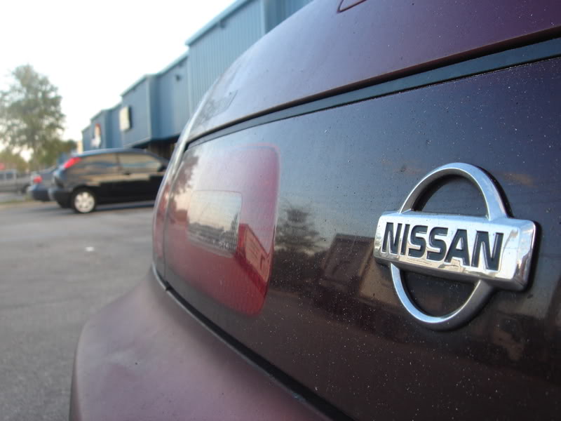 Name:  DSC02390.jpg
Views: 12
Size:  55.8 KB