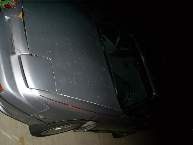 Name: S5030884.jpg
Views: 252
Size: 30.3 KB
