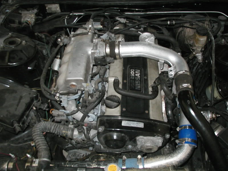 Name:  P1010153.jpg
Views: 17
Size:  77.6 KB