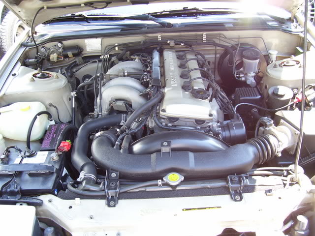 Name:  100_0242-2.jpg
Views: 21
Size:  76.2 KB