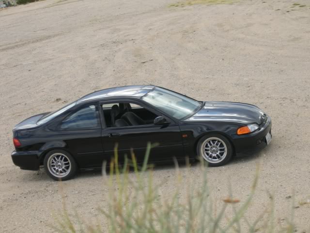 Name: sniperinthebush.jpg
Views: 14
Size: 50.5 KB