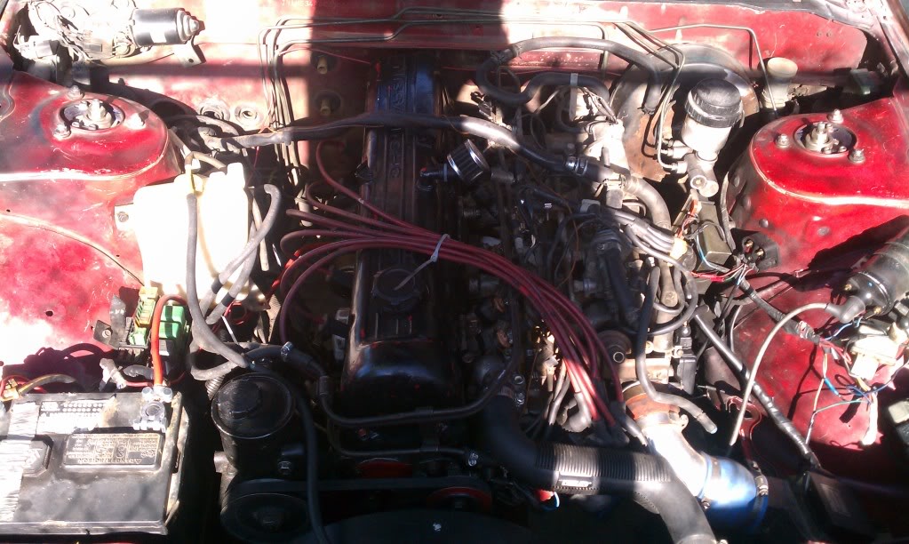 Name:  IMAG0365.jpg
Views: 141
Size:  144.3 KB