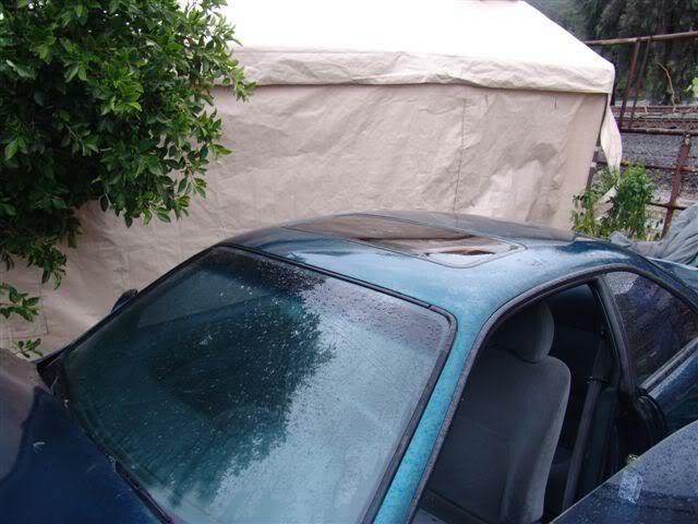 Name:  DSC00081-1.jpg
Views: 68
Size:  50.8 KB