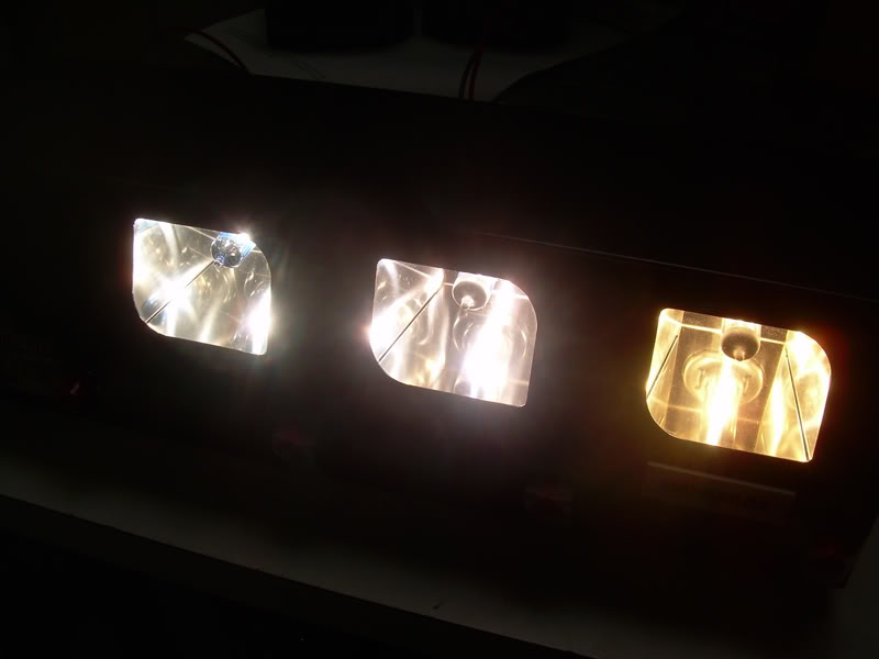 Name: sun_auto_bulbs.jpg
Views: 515
Size: 35.9 KB