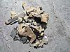 Interior Insulation (S13 Fastback)-dscf0329low.jpg