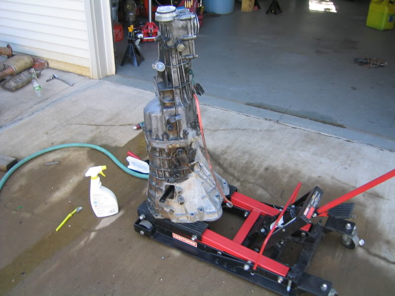 Name:  IMG_1396.jpg
Views: 51
Size:  79.5 KB