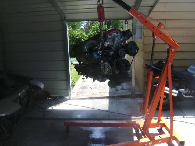 Name:  SANY2599.jpg
Views: 17
Size:  71.3 KB