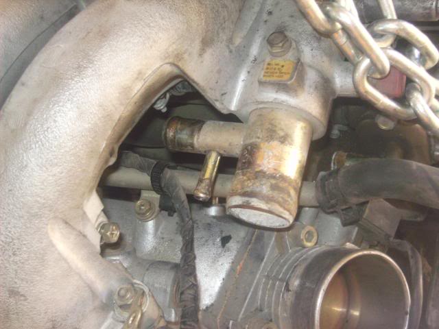 Name:  SANY2557.jpg
Views: 19
Size:  80.4 KB