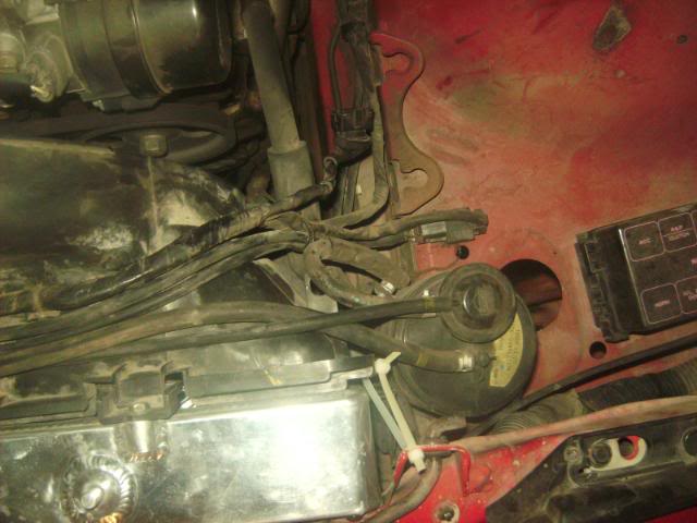 Name:  SANY2318.jpg
Views: 16
Size:  84.2 KB