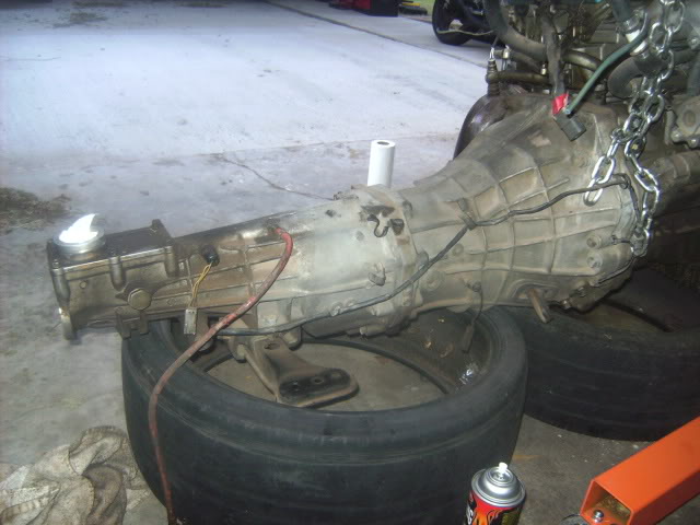 Name:  SANY2249.jpg
Views: 17
Size:  92.1 KB