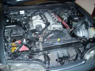 Name: 100_0253.jpg
Views: 545
Size: 40.9 KB