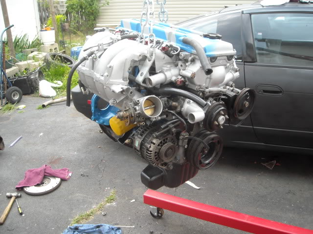 Name:  DSCN0384-1.jpg
Views: 15
Size:  113.2 KB