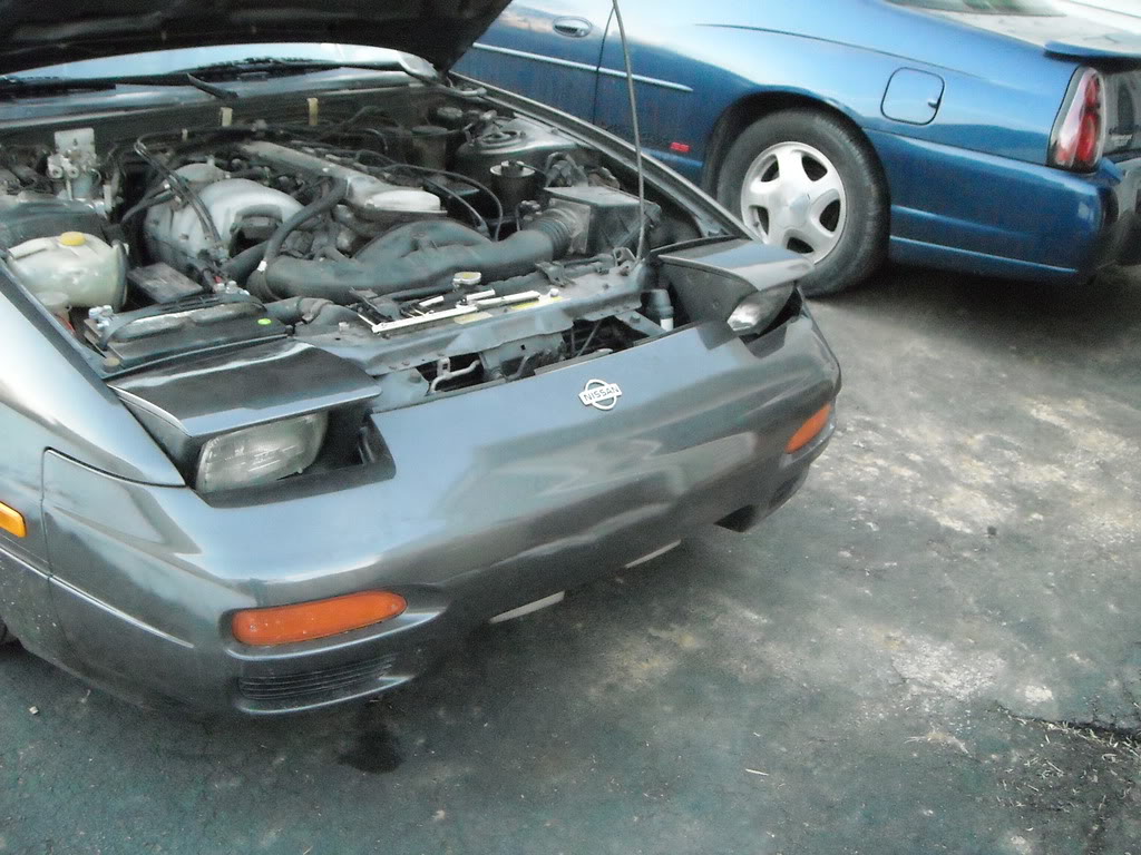 Name:  DSCN0287.jpg
Views: 20
Size:  185.9 KB