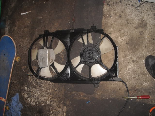 Name:  DSCN0310.jpg
Views: 15
Size:  109.6 KB