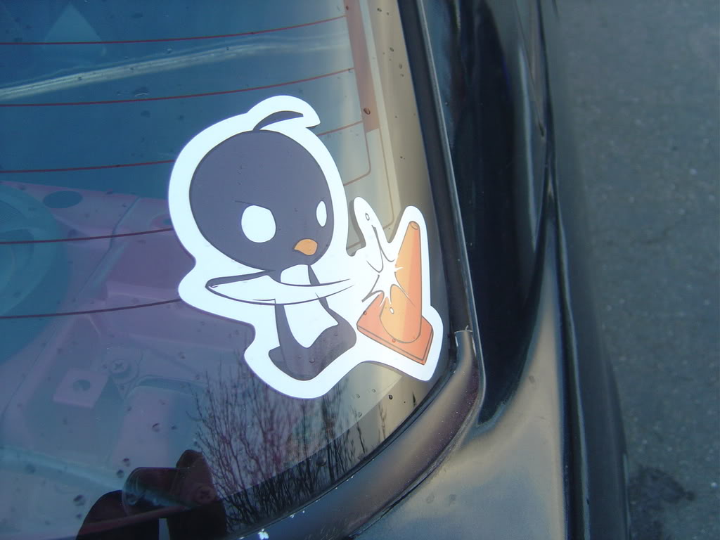 Name:  DSC09848.jpg
Views: 87
Size:  77.1 KB