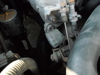 Name: DSCN0303-1.jpg
Views: 35
Size: 47.8 KB