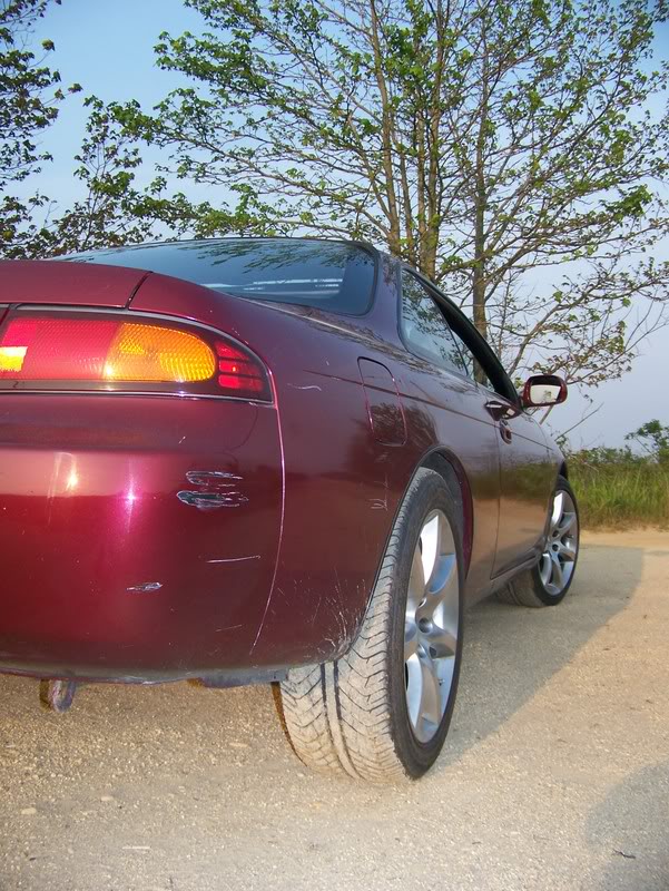 Name:  100_2495.jpg
Views: 18
Size:  155.7 KB