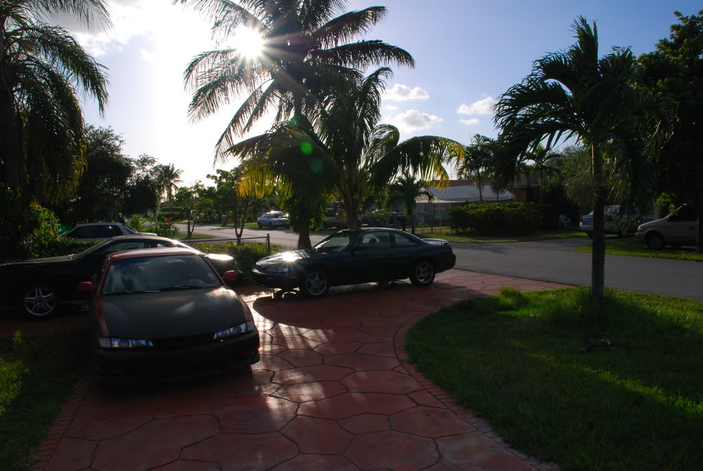 Name:  DSC_5031.jpg
Views: 18
Size:  167.5 KB