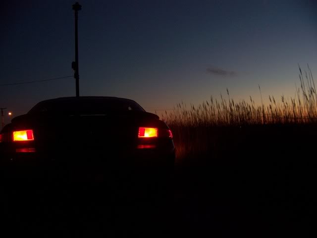 Name:  100_0928.jpg
Views: 17
Size:  24.9 KB