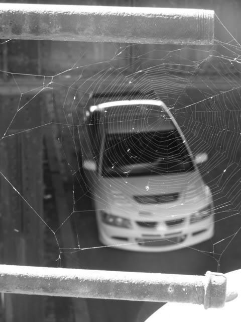 Name:  oct14018.jpg
Views: 29
Size:  56.7 KB