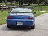 Masking the trunk-mask-tail-240.jpg