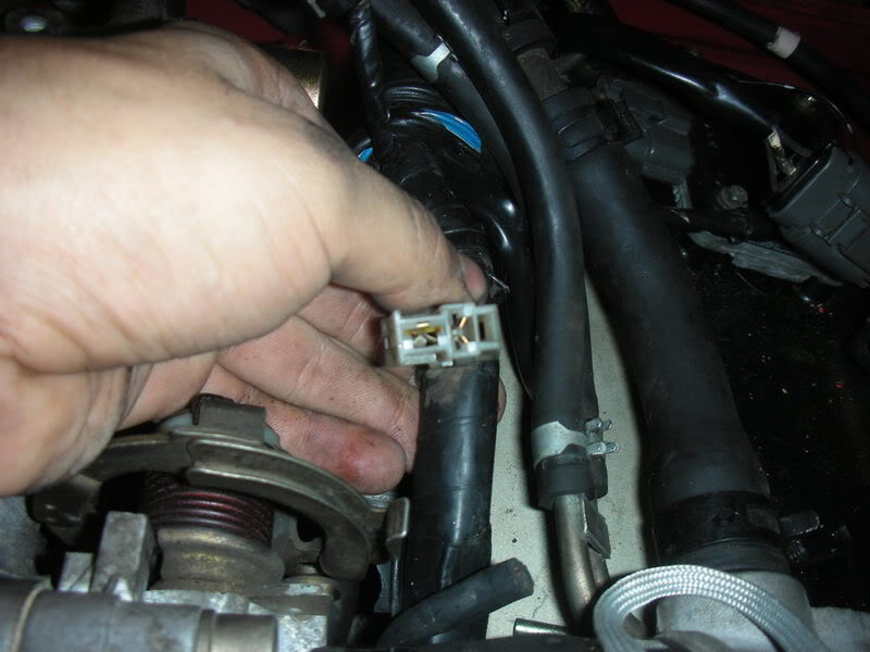 Name:  carpics2009.jpg
Views: 14
Size:  60.3 KB