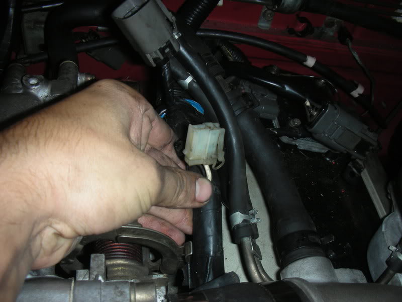 Name:  carpics2008.jpg
Views: 14
Size:  55.2 KB