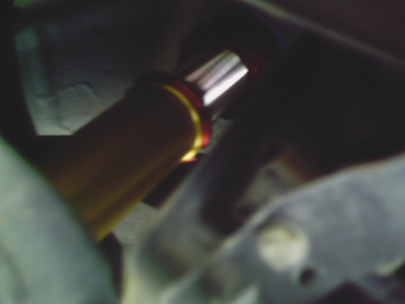 Name: DCFN0010.jpg
Views: 13
Size: 24.6 KB