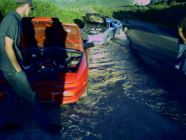 Name:  togue.jpg
Views: 235
Size:  41.9 KB