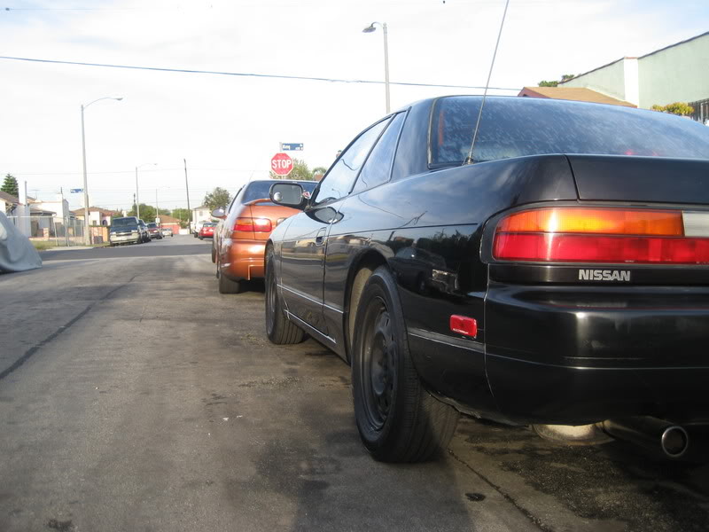 Name:  celizpix244.jpg
Views: 805
Size:  69.9 KB