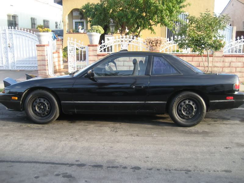 Name:  celizpix247.jpg
Views: 11
Size:  119.2 KB