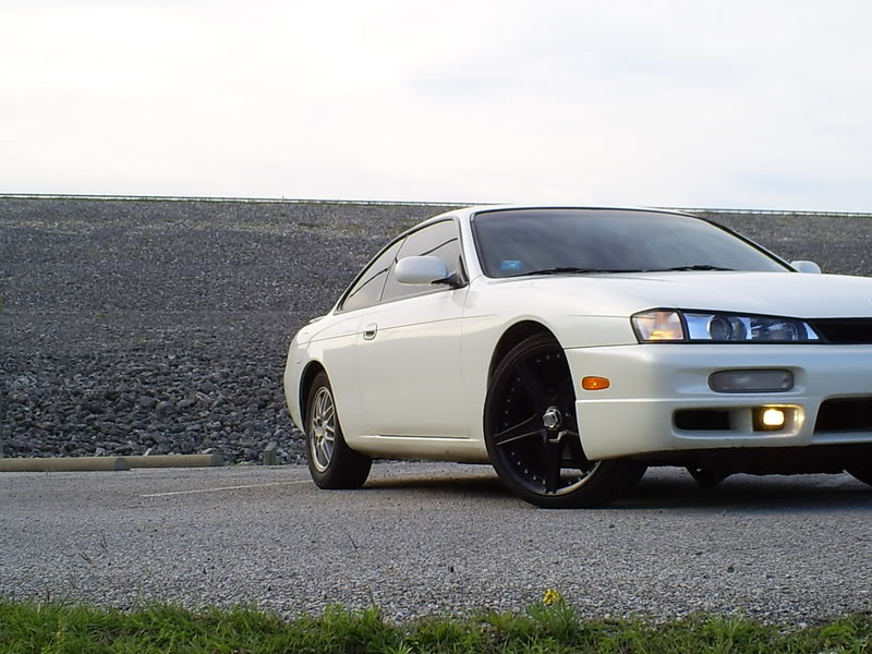 Name:  S5030715.jpg
Views: 873
Size:  143.1 KB