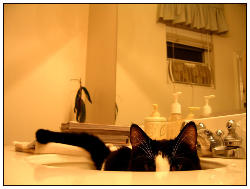 Name:  cs01.jpg
Views: 1113
Size:  54.4 KB