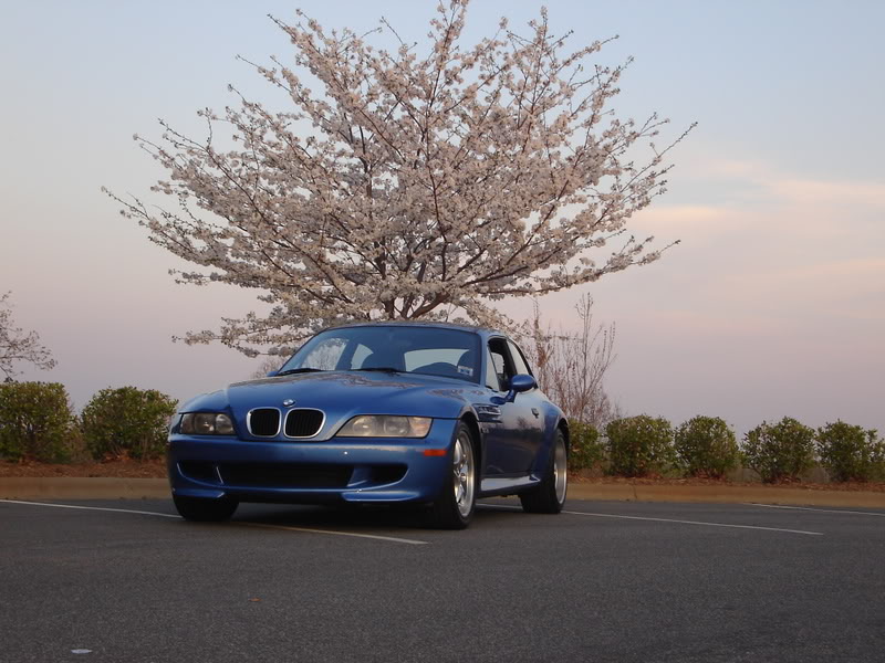 Name: DaneRussellJustinCar055.jpg
Views: 14
Size: 102.0 KB