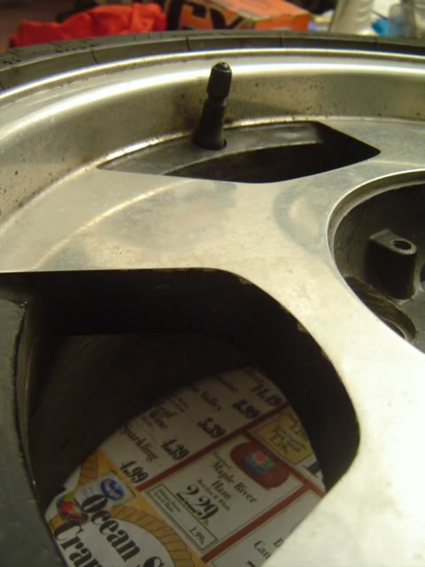 Name:  DSC04840.jpg
Views: 10
Size:  35.7 KB