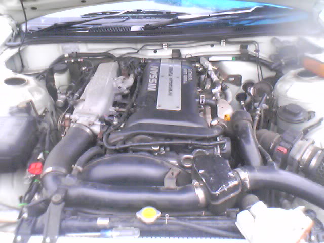 Name: 081906_1627d.jpg
Views: 19
Size: 54.6 KB
