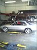 my pig noise coupe-coupe1.jpg